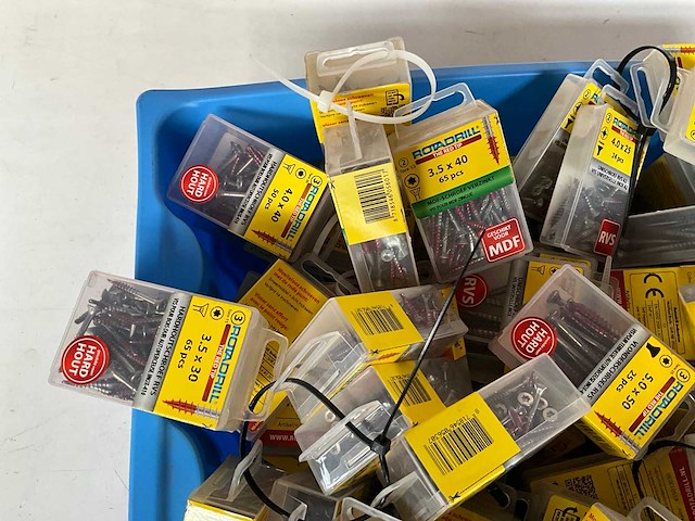 Rotadrill diverse schroeven rvs, verzinkt en messing in blister (100x) - afbeelding 4 van  7