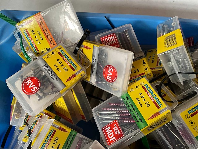 Rotadrill diverse schroeven rvs, verzinkt en messing in blister (100x) - afbeelding 3 van  7