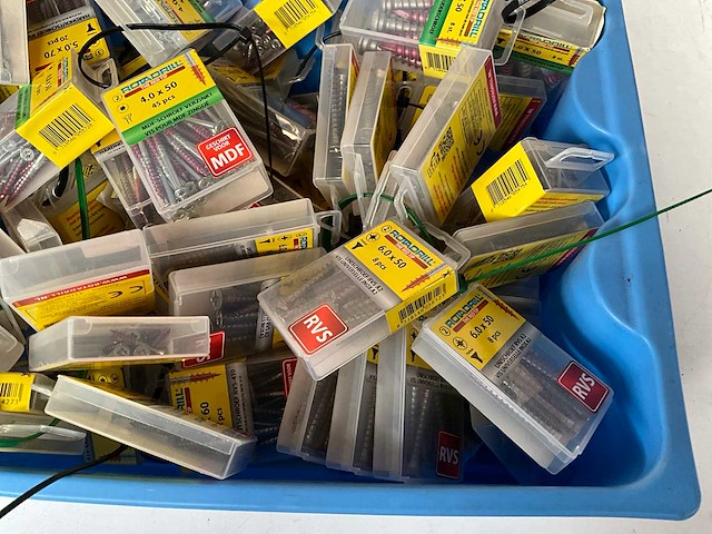 Rotadrill diverse schroeven rvs, verzinkt en messing in blister (100x) - afbeelding 5 van  7