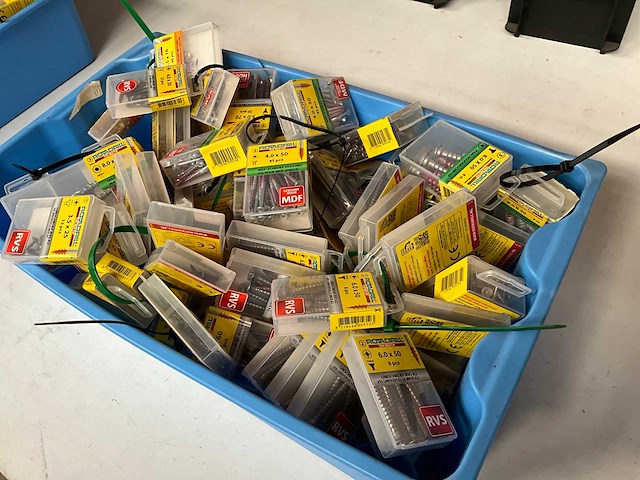 Rotadrill diverse schroeven rvs, verzinkt en messing in blister (100x) - afbeelding 7 van  7