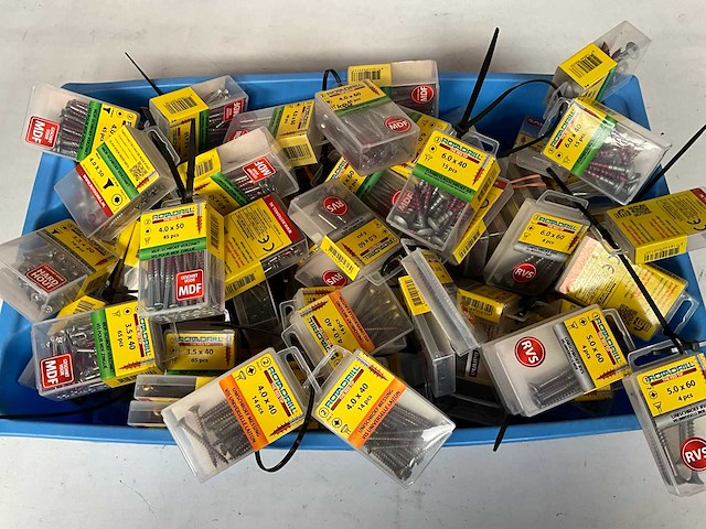 Rotadrill diverse schroeven rvs, verzinkt en messing in blister (100x) - afbeelding 1 van  6