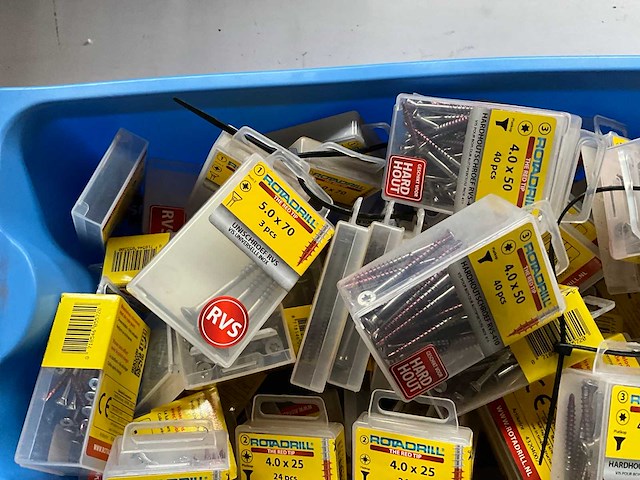 Rotadrill diverse schroeven rvs, verzinkt en messing in blister (100x) - afbeelding 2 van  4