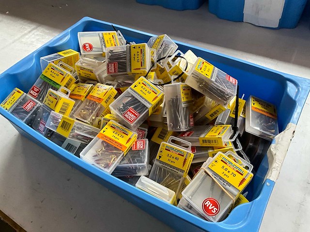 Rotadrill diverse schroeven rvs, verzinkt en messing in blister (100x) - afbeelding 3 van  4