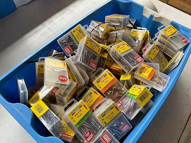 Rotadrill diverse schroeven rvs, verzinkt en messing in blister (100x) - afbeelding 4 van  4