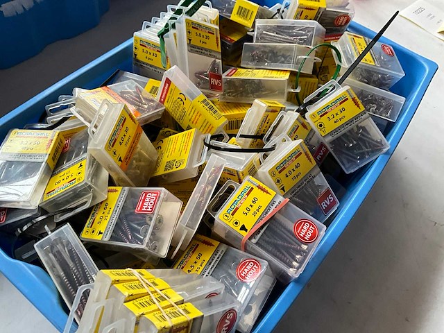 Rotadrill diverse schroeven rvs, verzinkt en messing in blister (100x) - afbeelding 7 van  7