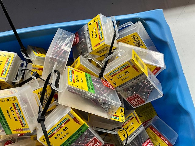 Rotadrill diverse schroeven rvs, verzinkt en messing in blister (100x) - afbeelding 2 van  5