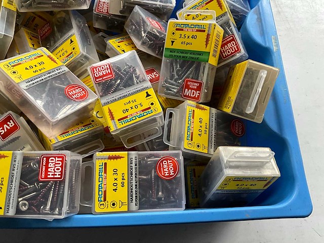 Rotadrill diverse schroeven rvs, verzinkt en messing in blister (100x) - afbeelding 4 van  7