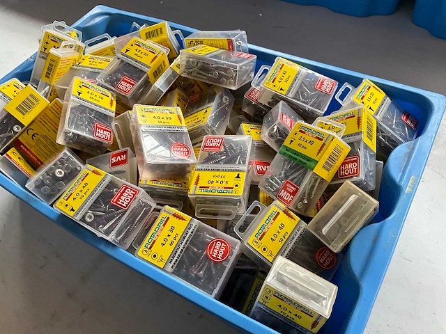 Rotadrill diverse schroeven rvs, verzinkt en messing in blister (100x) - afbeelding 6 van  7