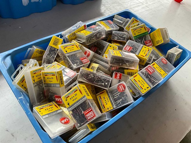 Rotadrill diverse schroeven rvs, verzinkt en messing in blister (100x) - afbeelding 7 van  7