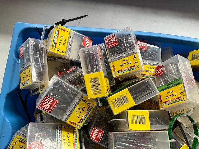 Rotadrill diverse schroeven rvs, verzinkt en messing in blister (100x) - afbeelding 1 van  5