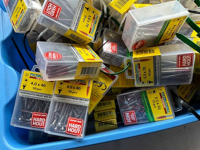 Rotadrill diverse schroeven rvs, verzinkt en messing in blister (100x) - afbeelding 4 van  5