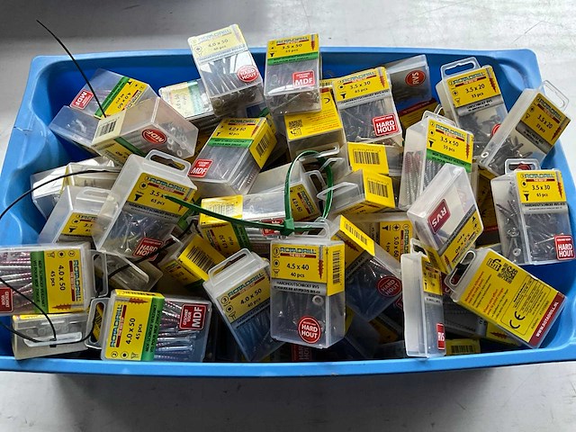 Rotadrill diverse schroeven rvs, verzinkt en messing in blister (100x) - afbeelding 1 van  7
