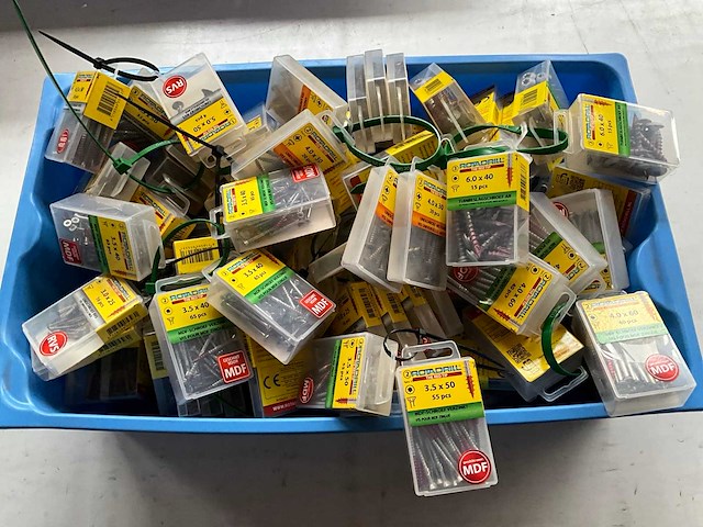 Rotadrill diverse schroeven rvs, verzinkt en messing in blister (100x) - afbeelding 1 van  6