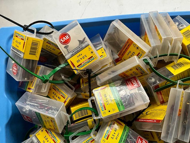 Rotadrill diverse schroeven rvs, verzinkt en messing in blister (100x) - afbeelding 2 van  6