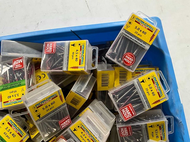 Rotadrill diverse schroeven rvs, verzinkt en messing in blister (100x) - afbeelding 2 van  5