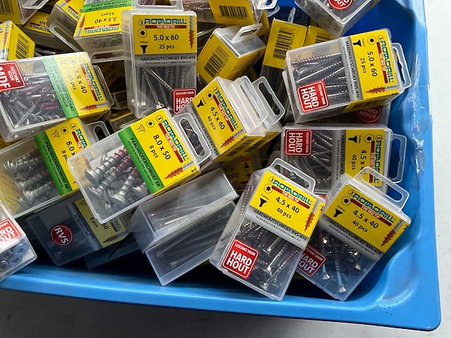 Rotadrill diverse schroeven rvs, verzinkt en messing in blister (100x) - afbeelding 3 van  5