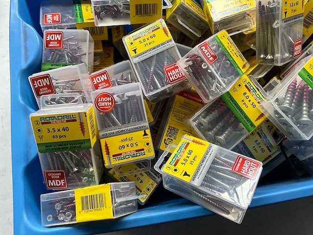 Rotadrill diverse schroeven rvs, verzinkt en messing in blister (100x) - afbeelding 4 van  5