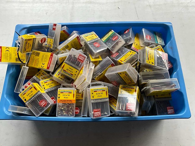 Rotadrill diverse schroeven rvs, verzinkt en messing in blister (100x) - afbeelding 1 van  7