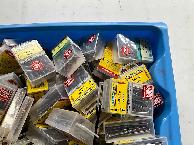 Rotadrill diverse schroeven rvs, verzinkt en messing in blister (100x) - afbeelding 3 van  7