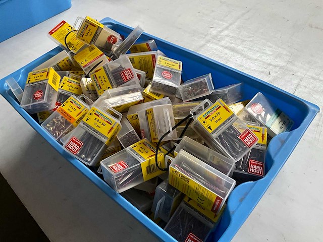 Rotadrill diverse schroeven rvs, verzinkt en messing in blister (100x) - afbeelding 7 van  7