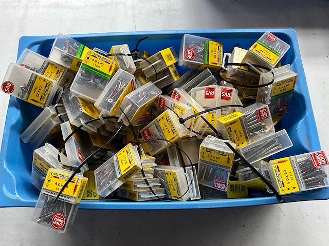 Rotadrill diverse schroeven rvs, verzinkt en messing in blister (100x) - afbeelding 1 van  5