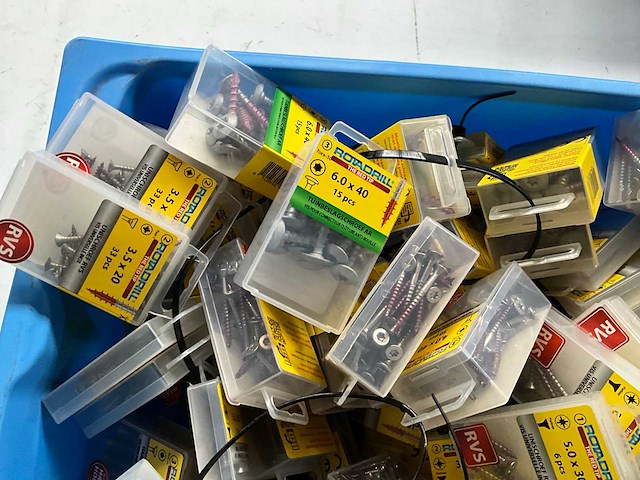 Rotadrill diverse schroeven rvs, verzinkt en messing in blister (100x) - afbeelding 2 van  5