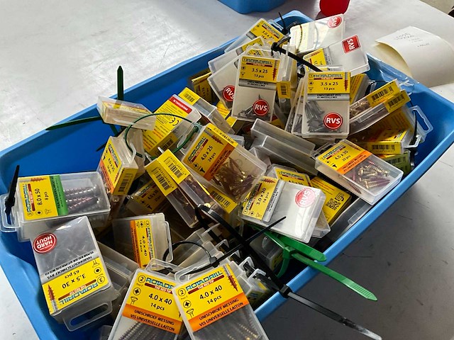 Rotadrill diverse schroeven rvs, verzinkt en messing in blister (100x) - afbeelding 6 van  6
