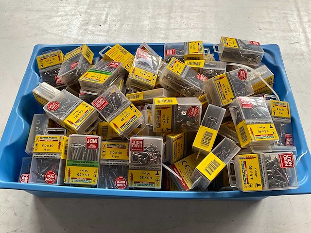 Rotadrill diverse schroeven rvs, verzinkt en messing in blister (100x) - afbeelding 1 van  7