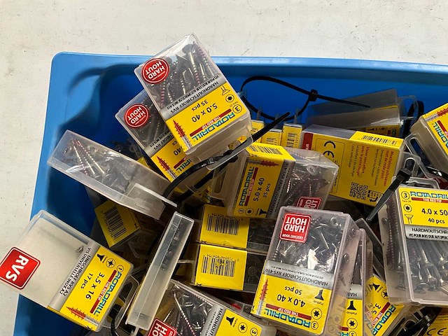 Rotadrill diverse schroeven rvs, verzinkt en messing in blister (100x) - afbeelding 2 van  6