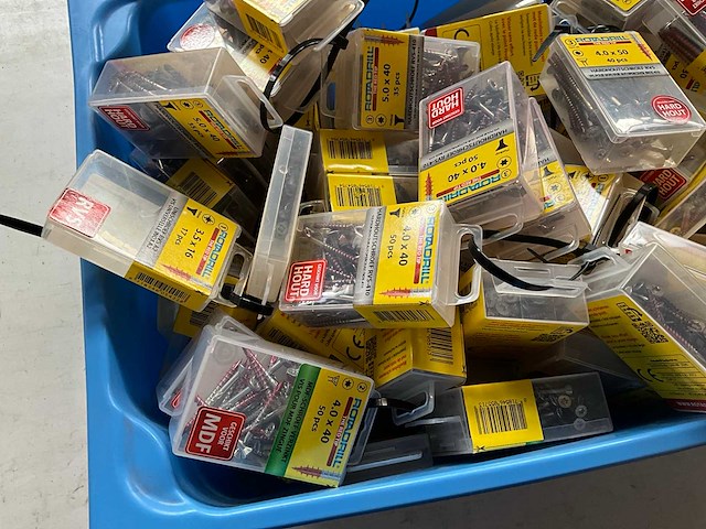 Rotadrill diverse schroeven rvs, verzinkt en messing in blister (100x) - afbeelding 4 van  6