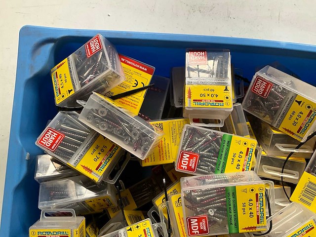 Rotadrill diverse schroeven rvs, verzinkt en messing in blister (100x) - afbeelding 3 van  7