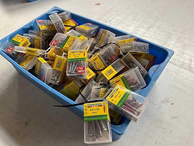 Rotadrill diverse schroeven rvs, verzinkt en messing in blister (100x) - afbeelding 7 van  7