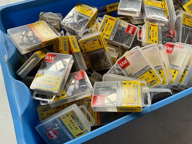 Rotadrill diverse schroeven rvs, verzinkt en messing in blister (100x) - afbeelding 5 van  7