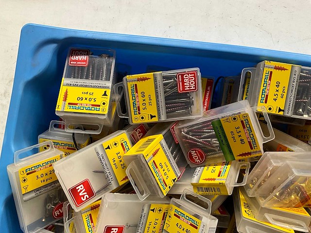 Rotadrill diverse schroeven rvs, verzinkt en messing in blister (100x) - afbeelding 2 van  7