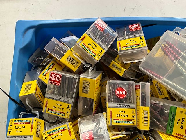 Rotadrill diverse schroeven rvs, verzinkt en messing in blister (100x) - afbeelding 2 van  7