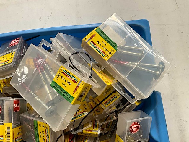 Rotadrill diverse schroeven rvs, verzinkt en messing in blister (100x) - afbeelding 3 van  7