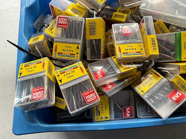 Rotadrill diverse schroeven rvs, verzinkt en messing in blister (100x) - afbeelding 5 van  7