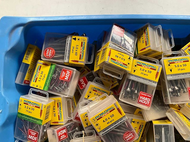 Rotadrill diverse schroeven rvs, verzinkt en messing in blister (100x) - afbeelding 2 van  7