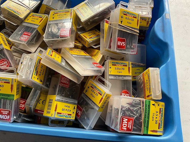 Rotadrill diverse schroeven rvs, verzinkt en messing in blister (100x) - afbeelding 4 van  7