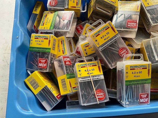 Rotadrill diverse schroeven rvs, verzinkt en messing in blister (100x) - afbeelding 5 van  7