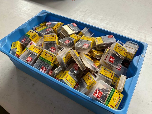 Rotadrill diverse schroeven rvs, verzinkt en messing in blister (100x) - afbeelding 7 van  7