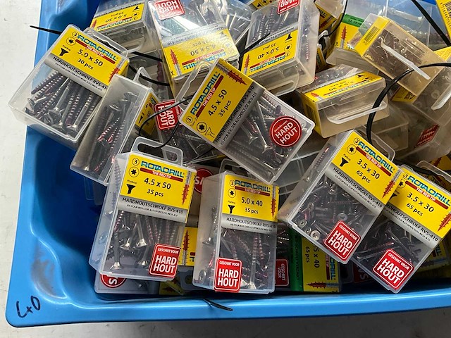 Rotadrill diverse schroeven rvs, verzinkt en messing in blister (100x) - afbeelding 3 van  8