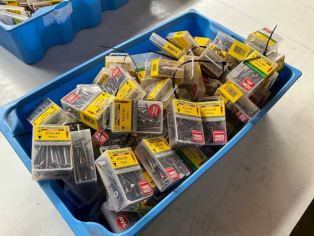 Rotadrill diverse schroeven rvs, verzinkt en messing in blister (100x) - afbeelding 6 van  8