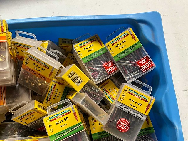 Rotadrill diverse schroeven rvs, verzinkt en messing in blister (100x) - afbeelding 2 van  4
