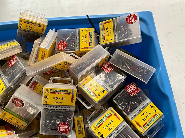 Rotadrill diverse schroeven rvs, verzinkt en messing in blister (100x) - afbeelding 3 van  6