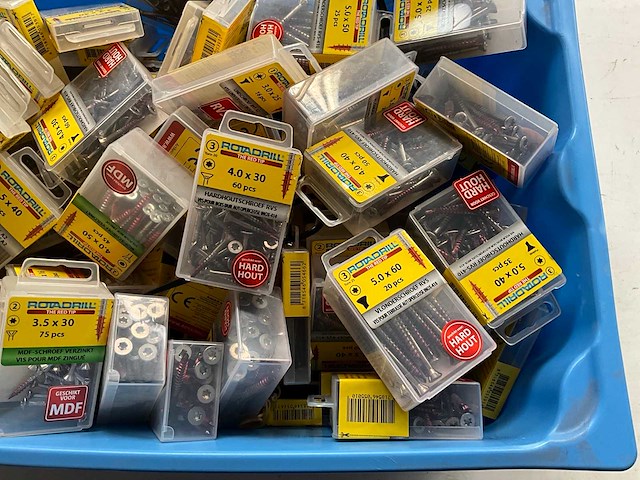 Rotadrill diverse schroeven rvs, verzinkt en messing in blister (100x) - afbeelding 4 van  6