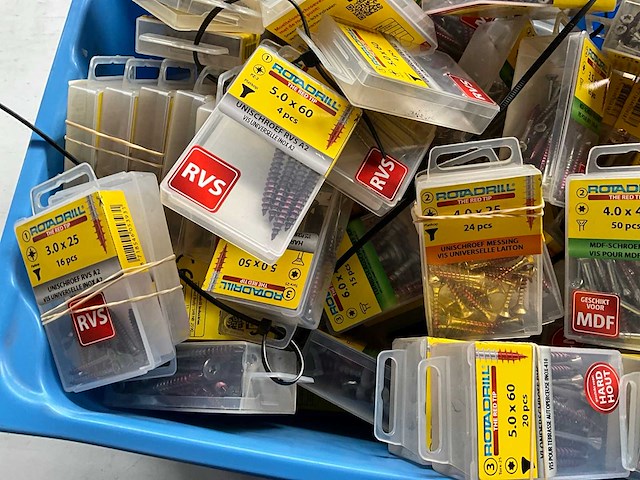 Rotadrill diverse schroeven rvs, verzinkt en messing in blister (100x) - afbeelding 3 van  4