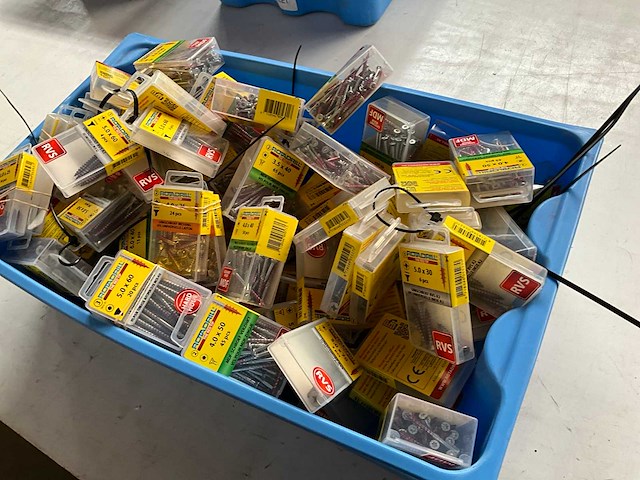 Rotadrill diverse schroeven rvs, verzinkt en messing in blister (100x) - afbeelding 4 van  4