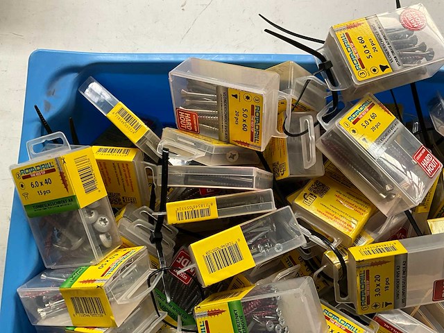 Rotadrill diverse schroeven rvs, verzinkt en messing in blister (100x) - afbeelding 1 van  6