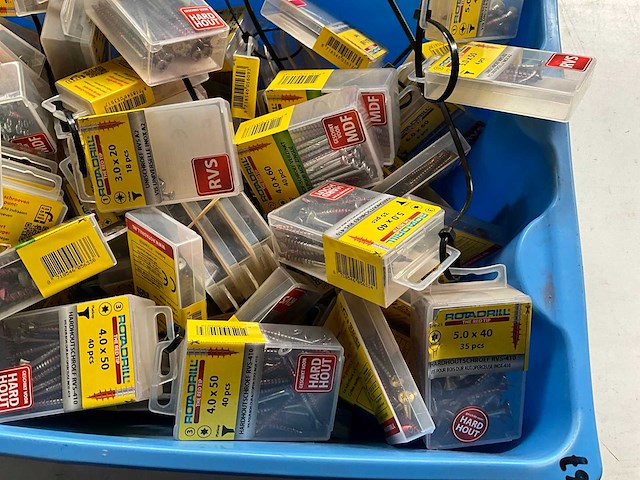 Rotadrill diverse schroeven rvs, verzinkt en messing in blister (100x) - afbeelding 3 van  6